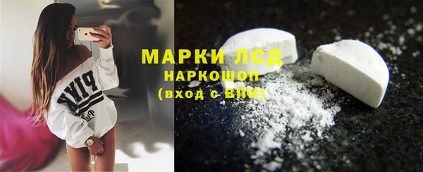 индика Переславль-Залесский