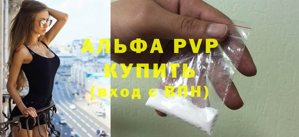 индика Переславль-Залесский