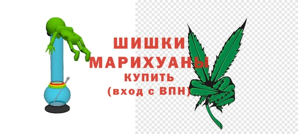 индика Пересвет