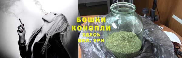 ALPHA PVP Остров