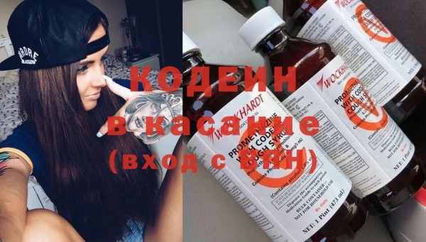 индика Пересвет