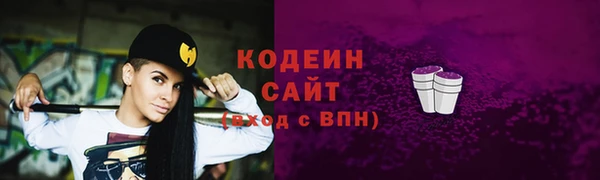 дживик Осинники