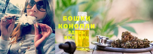 дживик Осинники